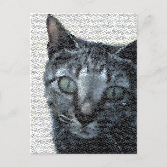 A Cat through a Dragonfly's Eyes. Postcard (Front)