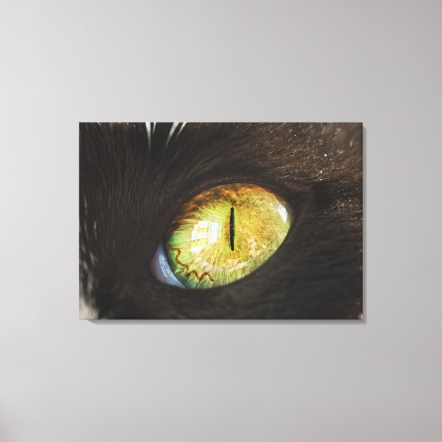 A Cat's Eye Canvas Print (Front)