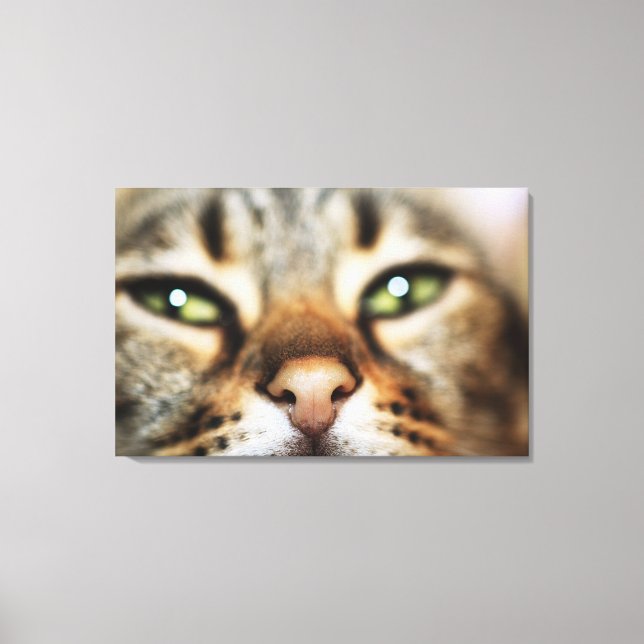 A Cat's Face Canvas Print (Front)