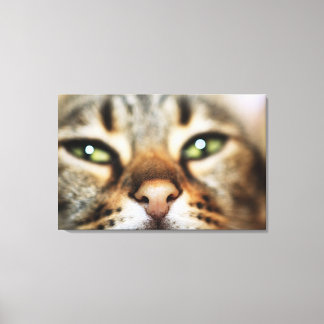 A Cat's Face Canvas Print