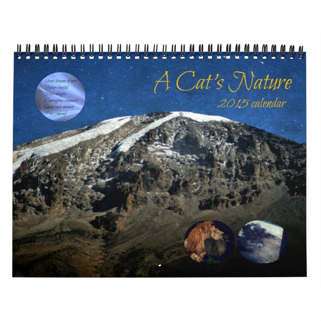 A Cat's Nature - 2015 Calendar (Cover)