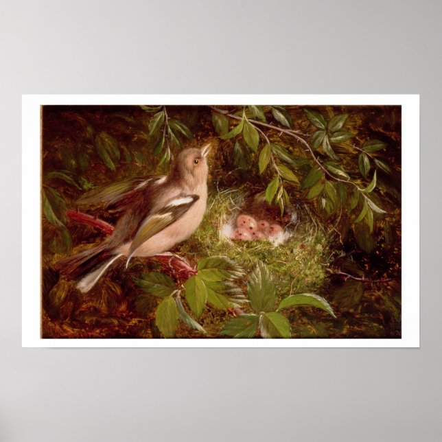 A Chaffinch at its Nest, 1877 (oil on panel) Poster (Front)