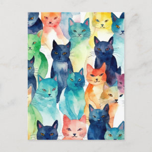 A chaos of cats postcard