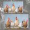 A Chaotic Chicken Portrait Pt 1 Tissue Paper