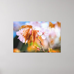 A Charming Sakura Flower On A Twig In Spring Canvas Print