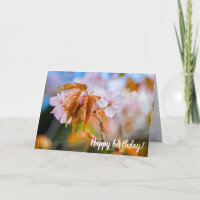 A Charming Sakura Flower On A Twig In Spring