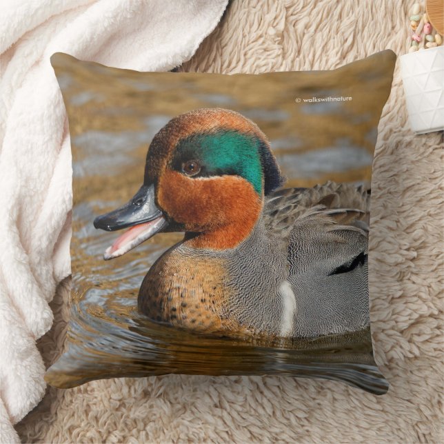 A Chatty Green-Winged Teal Duck at the Pond Cushion (Blanket)