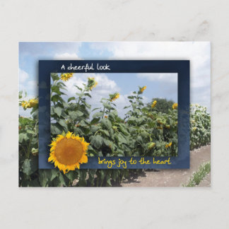A Cheerful Look Brings Joy Postcard