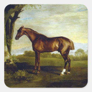A Chestnut Racehorse by George Stubbs Square Sticker