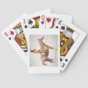 A Cheyenne Brave, 1901 (colour litho) Playing Cards