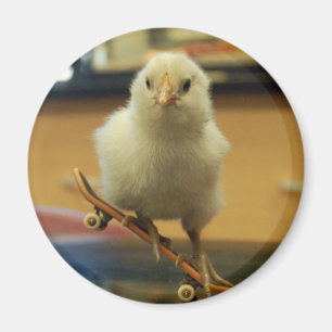A chick on skateboard decorated magnet