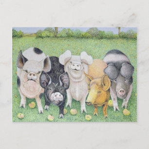 A Chorus Line Postcard