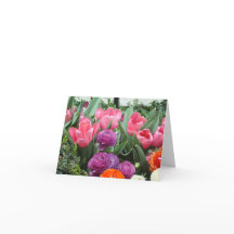 A Chorus of Pink Tulips Note Cards