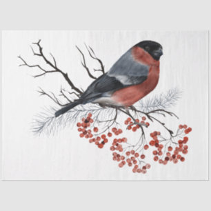 A Christmas Bird Series Design 7 Tissue Paper