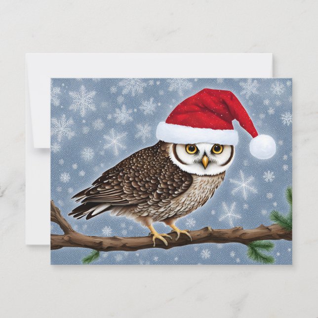 A Christmas Owl on a Blue Background Holiday Card (Front)