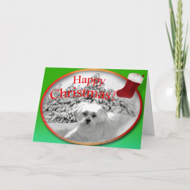 A Christmas Wish Holiday Card (Front)