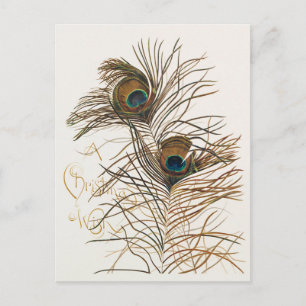 A Christmas Wish with Tropical  Holiday Card
