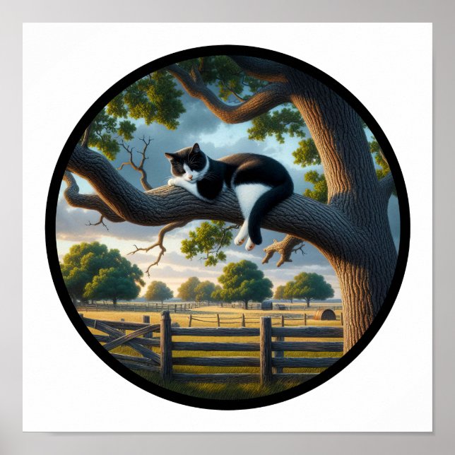 A Circular 3D Image of a Beautiful Tuxedo cat  Poster (Front)