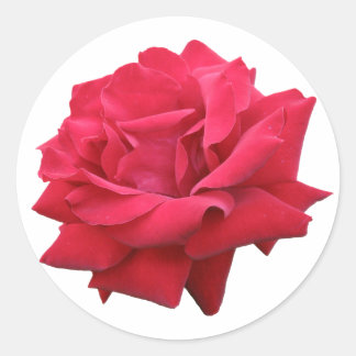 A Classic Red Rose Round Sticker