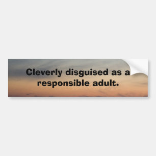 A cleverly disguised bumper sticker