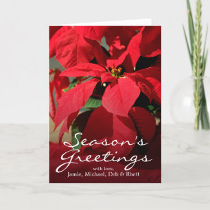 A close-up of a poinsettia holiday card