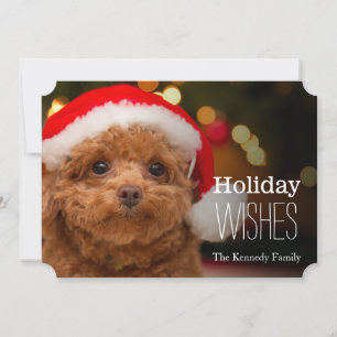 A close up of a red toy poodle holiday card