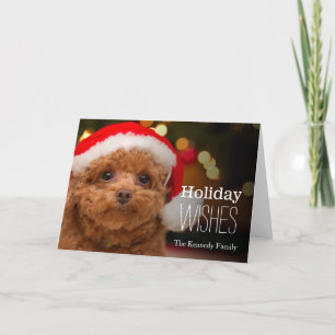 A close up of a red toy poodle holiday card