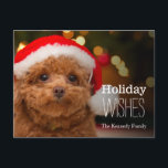 A close up, of a red toy poodle holiday postcard<br><div class="desc">A Toy Poodle wearing a Santa hat.</div>