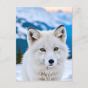 A Close-up Portrait of an Artic Fox Postcard