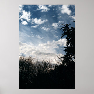 a cloudy backyard poster