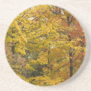 a coaster
