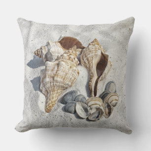 A Collection of Seashells on Sand Cushion