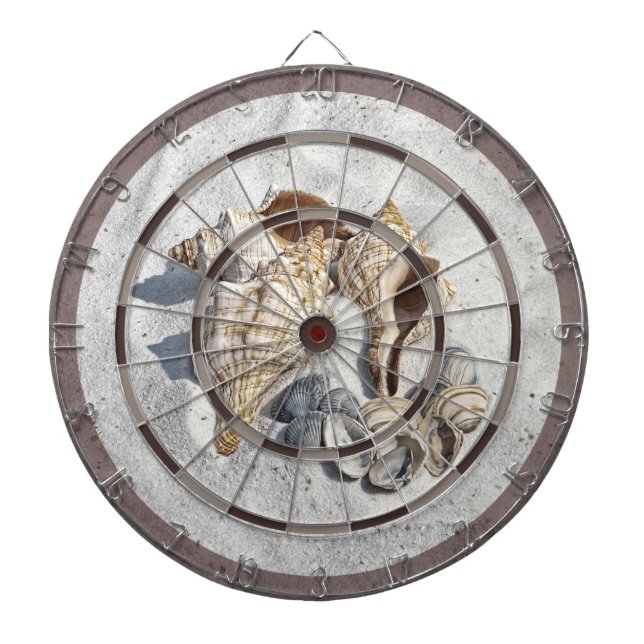 A Collection of Seashells on Sand Dart Board (Front)