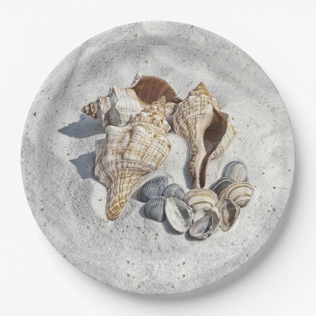 A Collection of Seashells on Sand Paper Plate (Front)