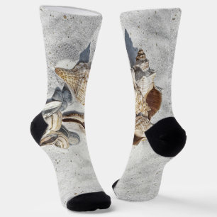 A Collection of Seashells on Sand Socks