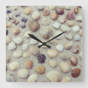 A Collection Of Seashells Square Wall Clock
