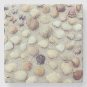 A Collection Of Seashells Stone Coaster