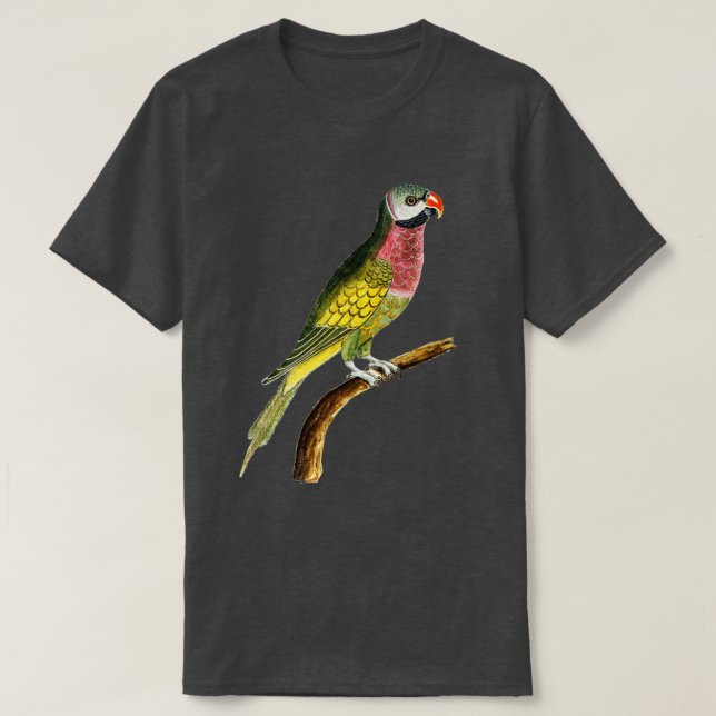 A colourful parrot on a tree branch T-Shirt (Design Front)