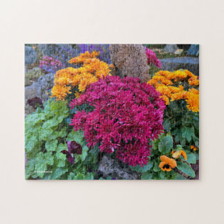 A Colourful Riot of Autumn Chrysanthemum Flowers Jigsaw Puzzle