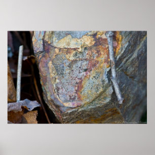 A Colourful Rock Nestled on the Forest Floor Poster