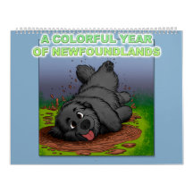 A colourful year of Newfoundlands
