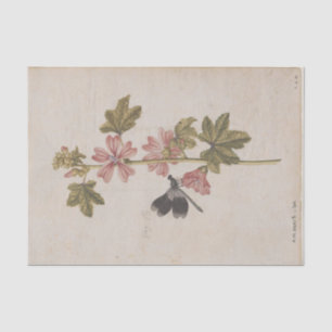 A Common Mallow and a Damselfly by de Morgues Tissue Paper
