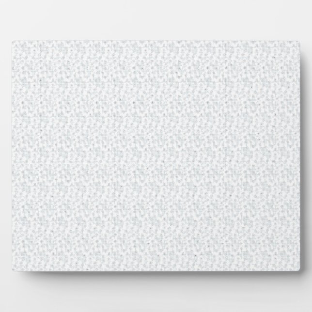 A completely white, featureless surface fills the  plaque (Front)