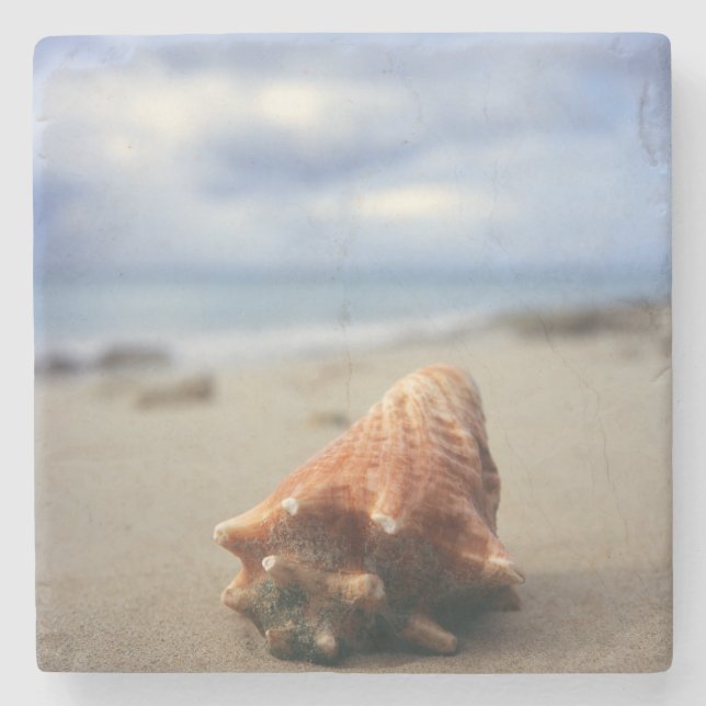 A Conch Shell On The Beach | St. Croix, Usvi Stone Coaster (Front)
