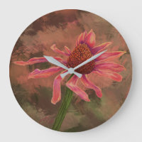 A Coneflower - the Ageing Beauty