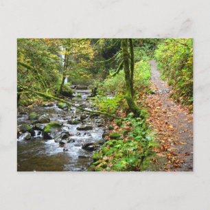 A Cool Creek Postcard