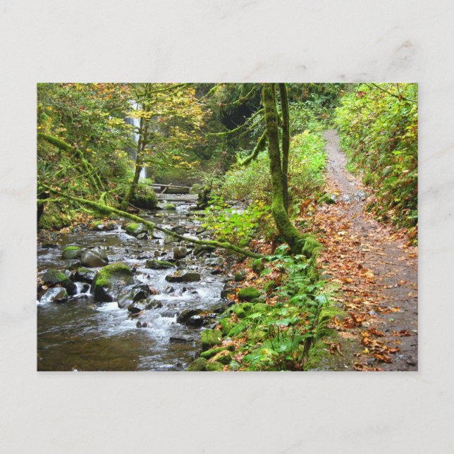 A Cool Creek Postcard (Front)