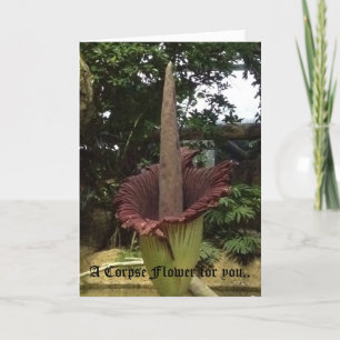 A Corpse Flower for you.. Card
