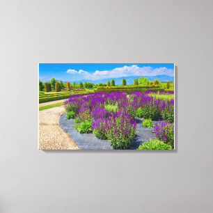a corridor of purple sage flowers  sunlit  canvas print