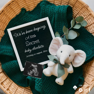 A cosy Neutral basket pregnancy announcement 